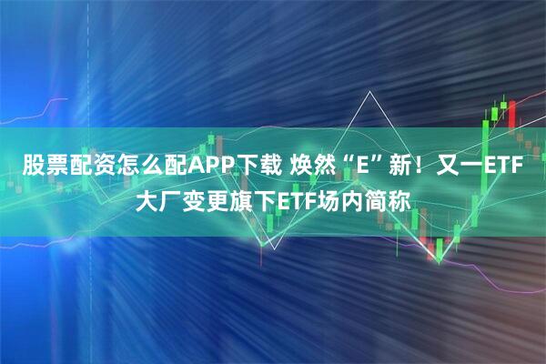 股票配资怎么配APP下载 焕然“E”新！又一ETF大厂变更旗下ETF场内简称